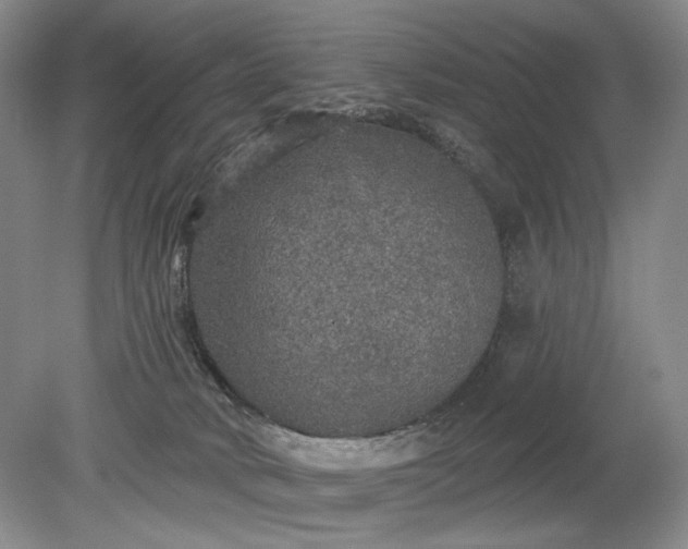 X0000079290034200612011735