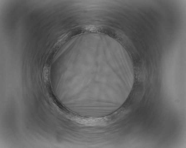 X0000079290036200612011735