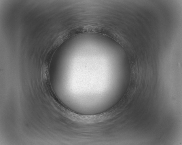 X0000079290038200612011735