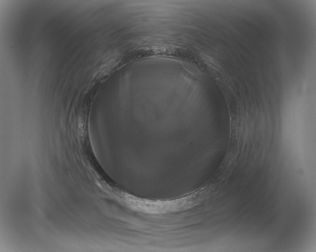 X0000079290039200612011735