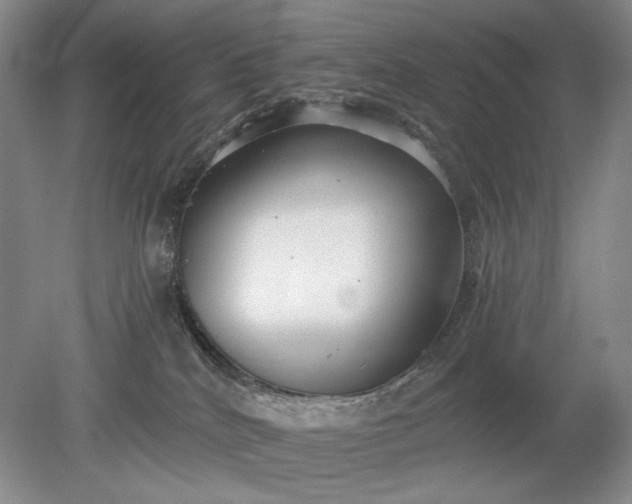 X0000079290040200612011735
