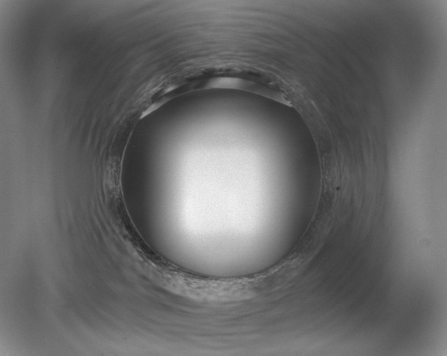 X0000079290044200612011735