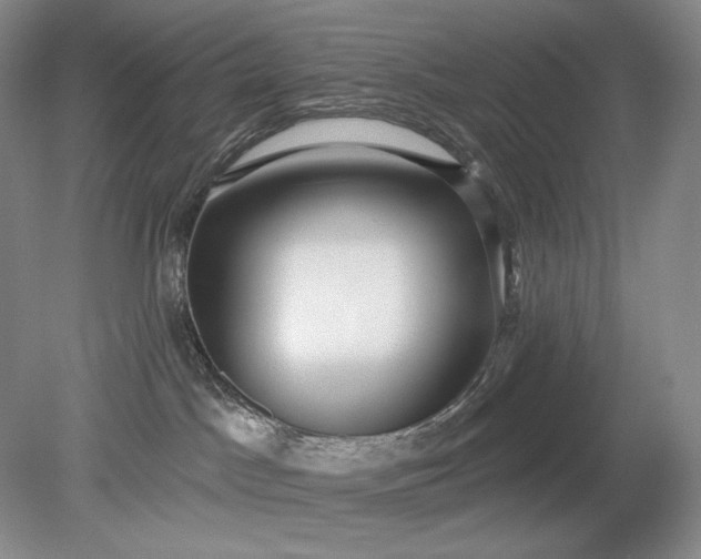 X0000079290045200612011735