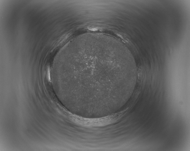 X0000079290046200612011735