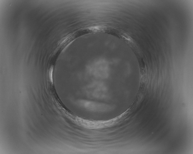 X0000079290047200612011735
