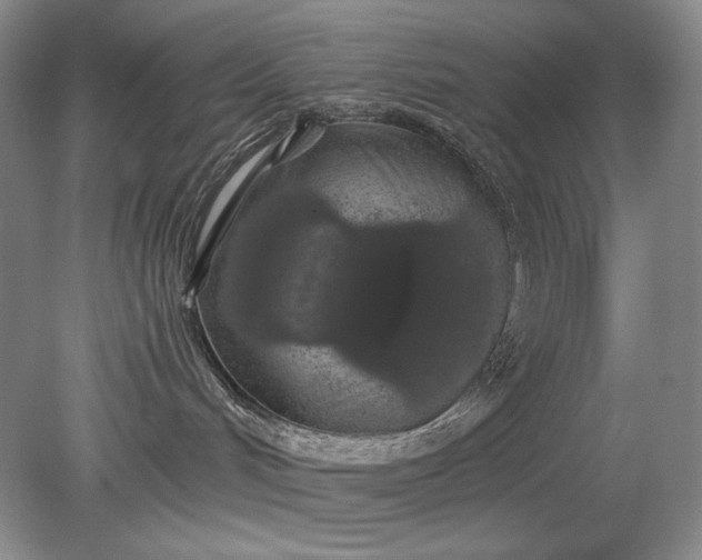 X0000079290048200612011735