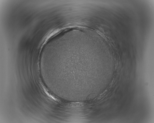 X0000079290050200612011734