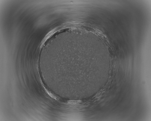 X0000079290051200612011734