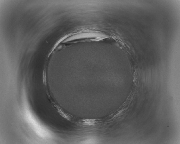 X0000079290052200612011734