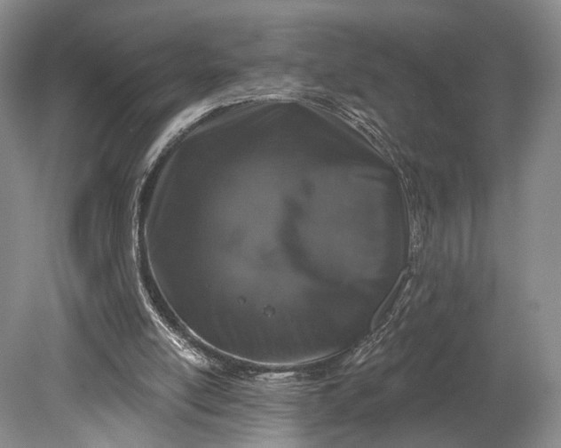 X0000079290054200612011734