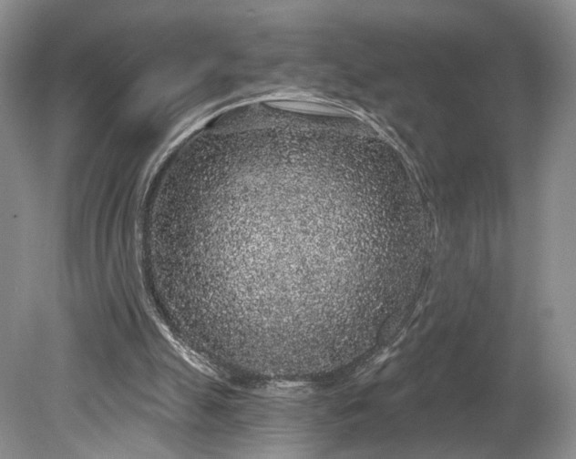 X0000079290055200612011734