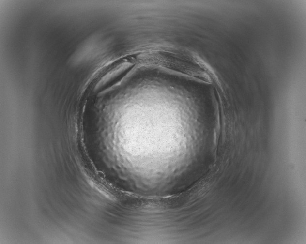 X0000079290059200612011734
