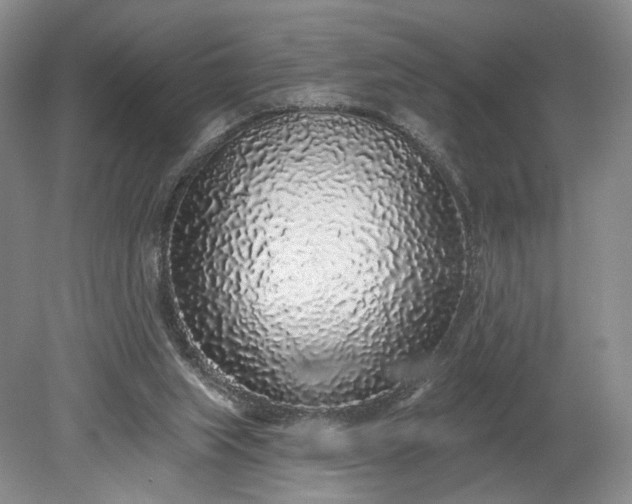 X0000079290063200612011734