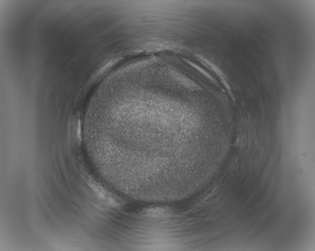 X0000079290067200612011735