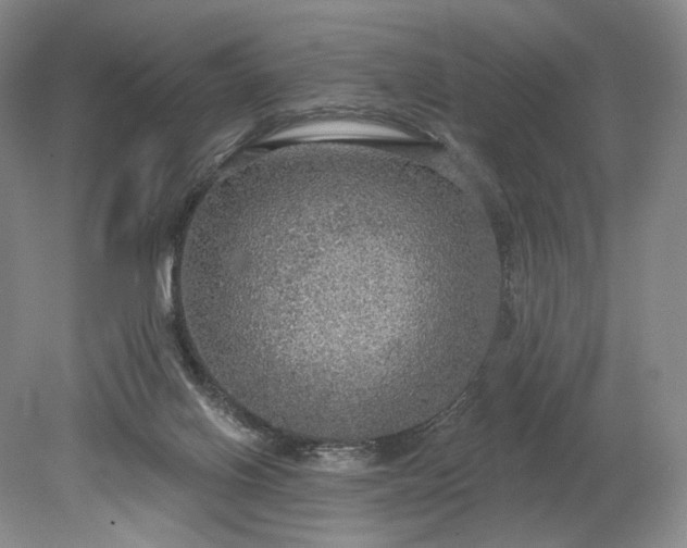 X0000079290070200612011735