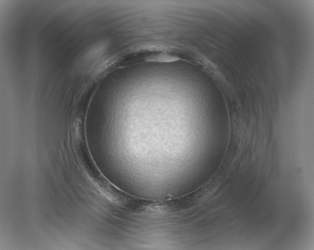 X0000079290071200612011735