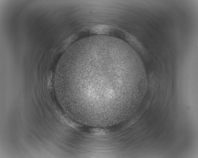 X0000079290073200612011735