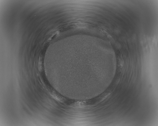 X0000079290080200612011735