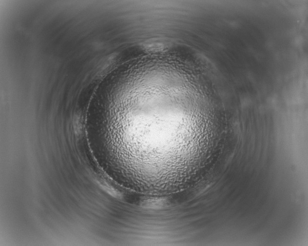 X0000079290081200612011735