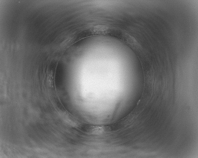 X0000079290083200612011735