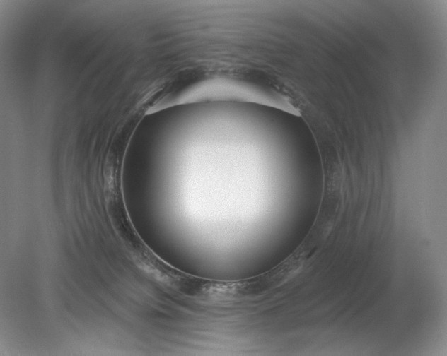 X0000079290084200612011735
