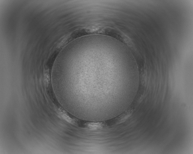 X0000079290085200612011735