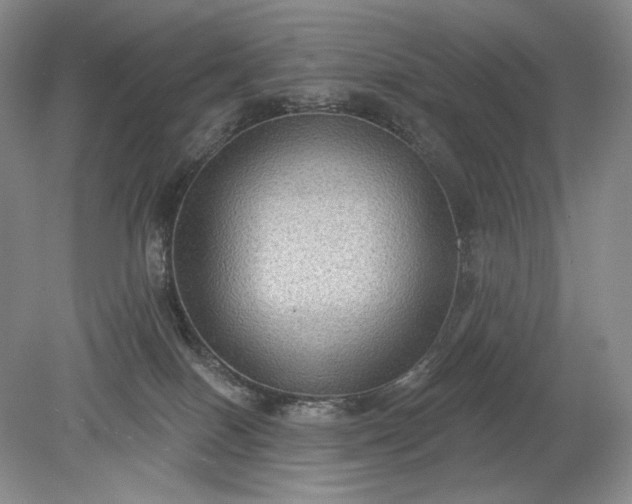 X0000079290086200612011735