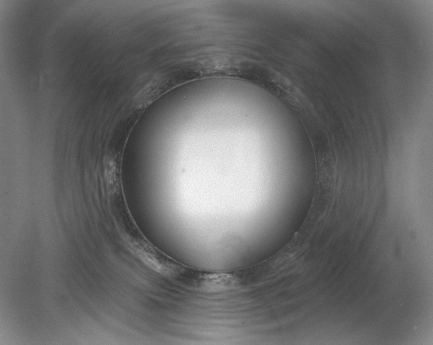 X0000079290087200612011735