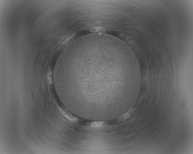X0000079290090200612011735