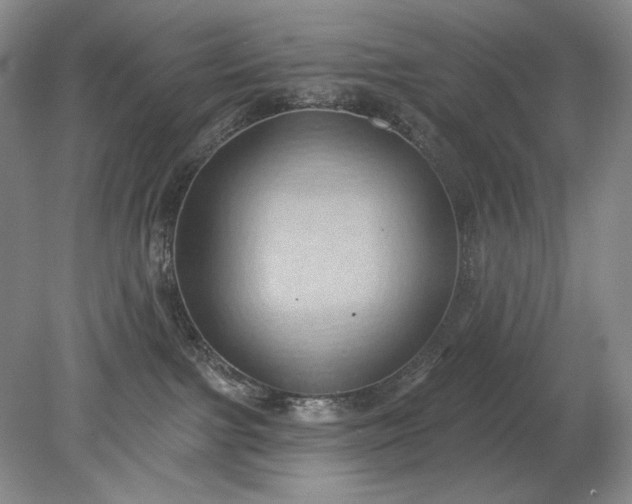 X0000079290091200612011735