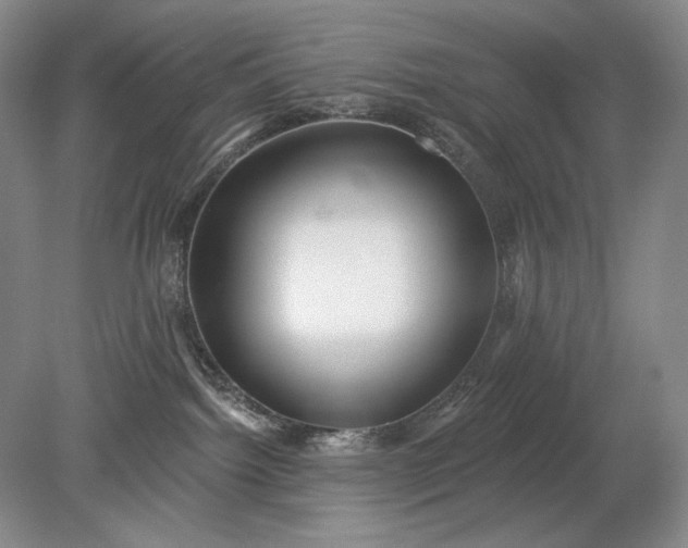 X0000079290092200612011735