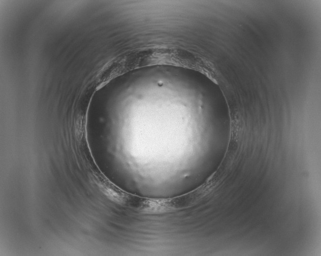 X0000079290093200612011735