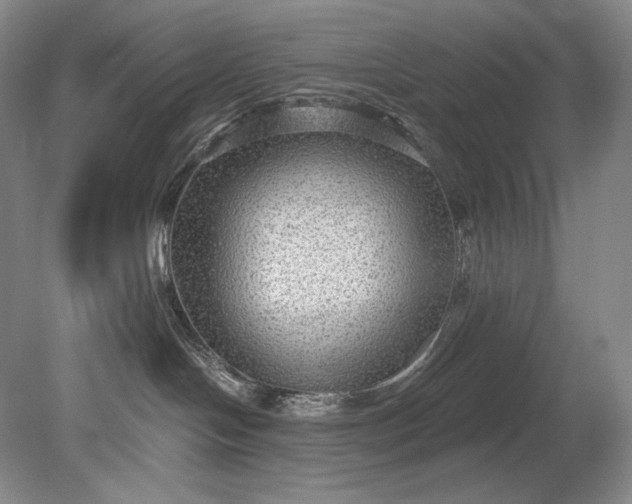 X0000079290094200612011735