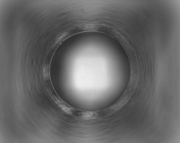 X0000079290096200612011735