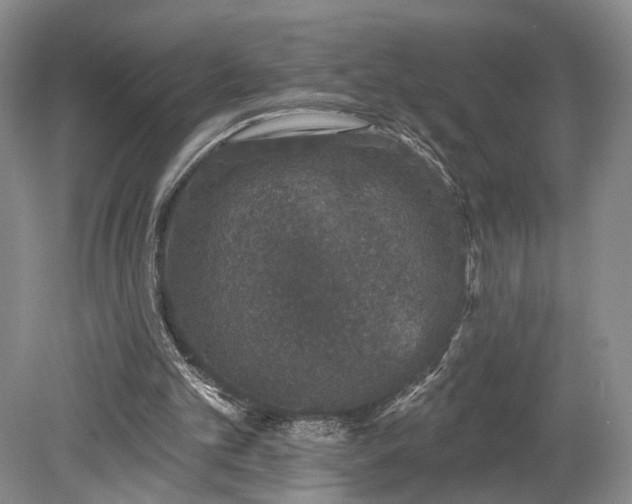 X0000079290101200612011734