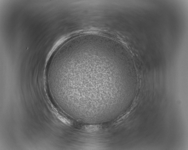X0000079290102200612011734