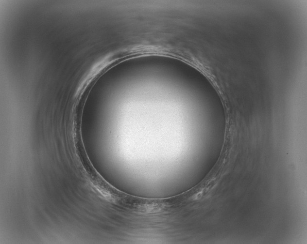 X0000079290103200612011734