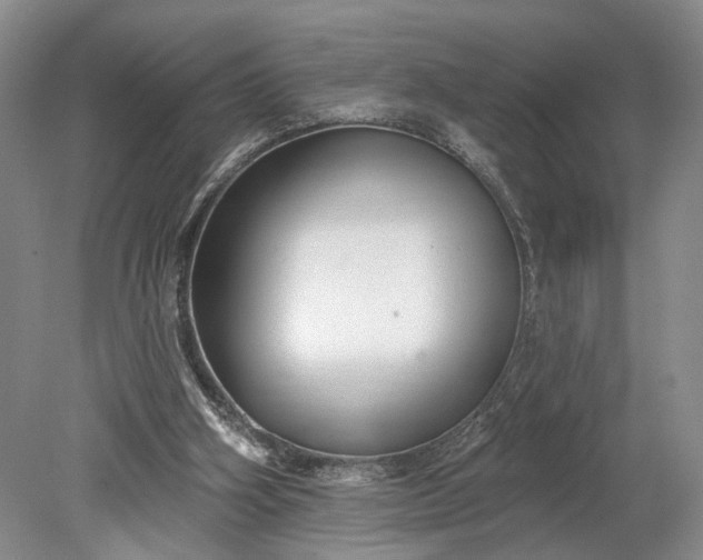 X0000079290106200612011734
