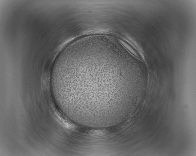 X0000079290107200612011734