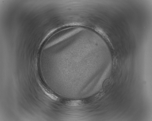 X0000079290108200612011734