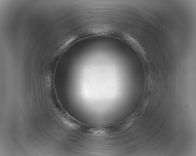 X0000079290113200612011734