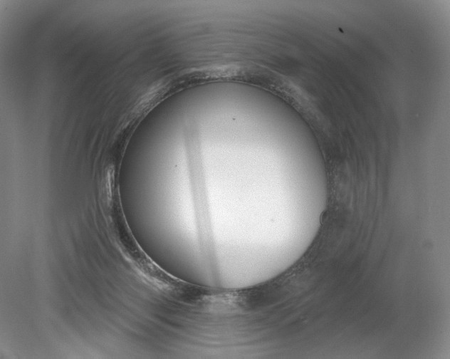 X0000079290118200612011734
