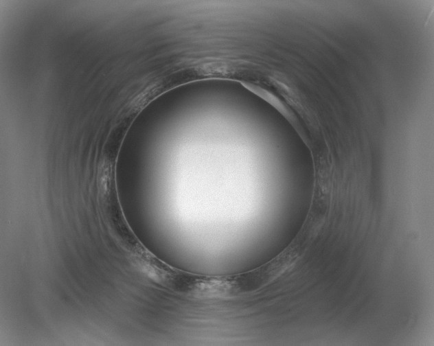 X0000079290125200612011734
