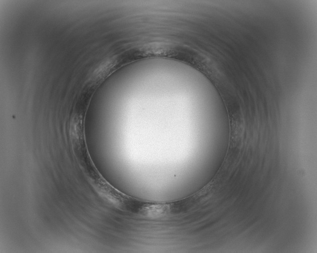 X0000079290126200612011734
