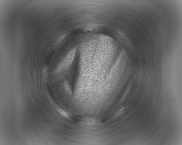 X0000079290127200612011734