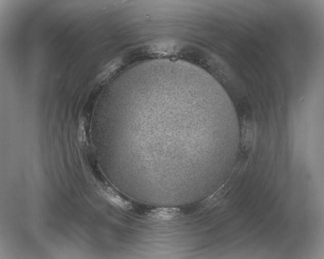 X0000079290128200612011734