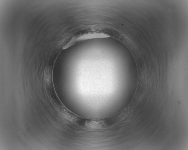 X0000079290129200612011734