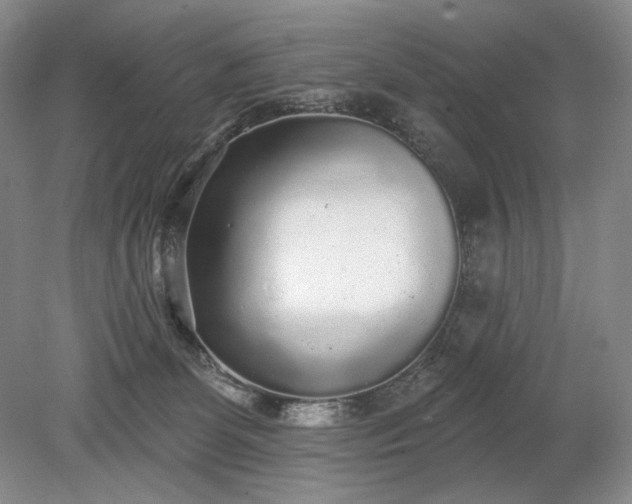 X0000079290131200612011734