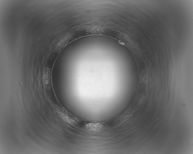 X0000079290133200612011734