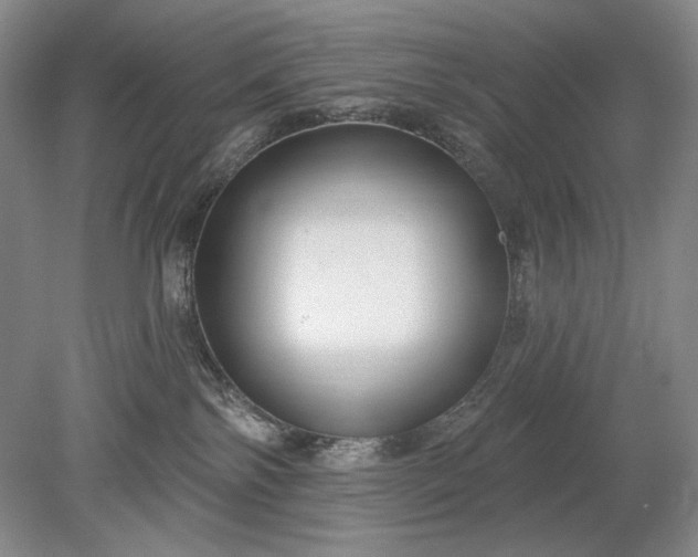 X0000079290138200612011734
